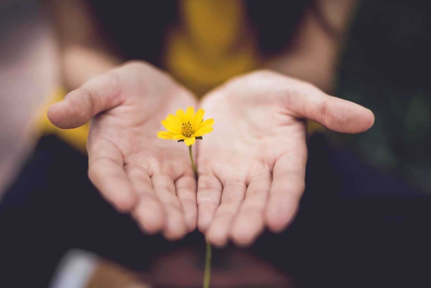 Steps to Overcome Anxiety and Stress